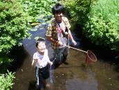 巨大ザリガニ捕獲作戦