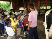 牛のいのちと緑の教室